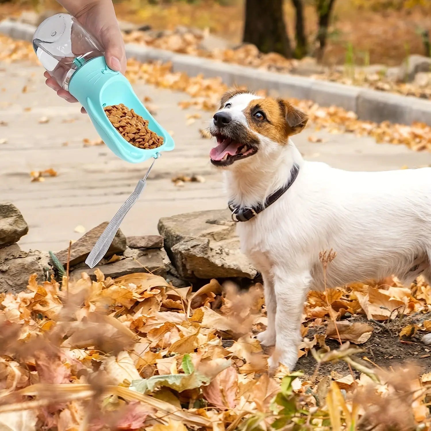 Leak-proof portable pet water and food bottle 
