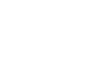 Polices Icon 4